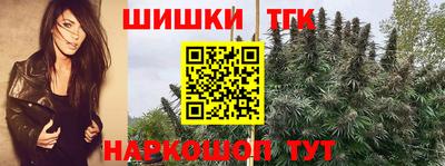 первитин Новодвинск