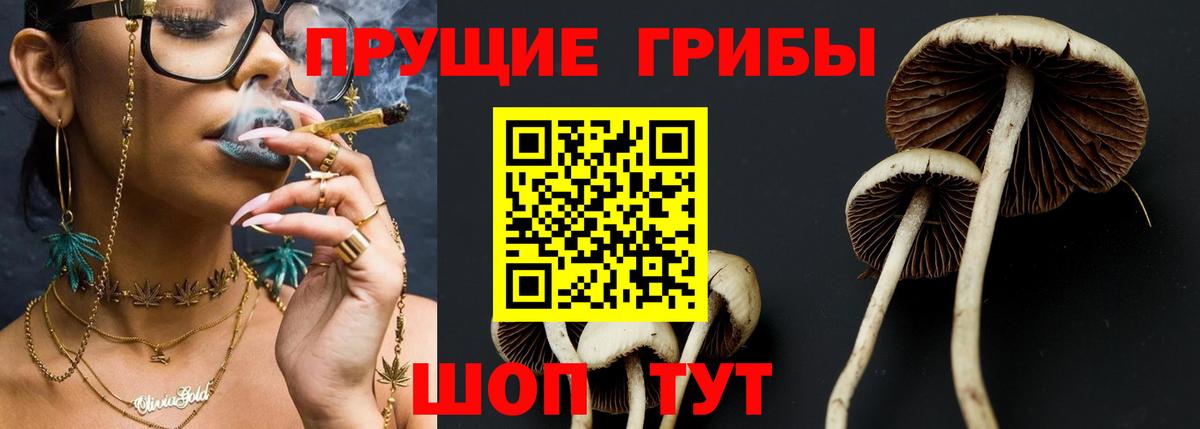 Галлюциногенные грибы MAGIC MUSHROOMS  Вход с VPN  Симферополь  Псилоцибиновые грибы Psilocybine cubensis 